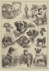 Exposition canine de Margate